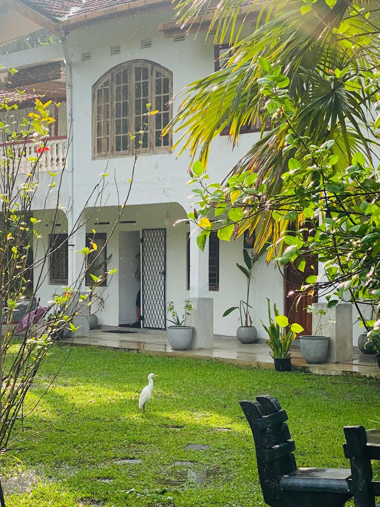 Sunny'S Garden Hotel Ambalangoda  Exteriör bild